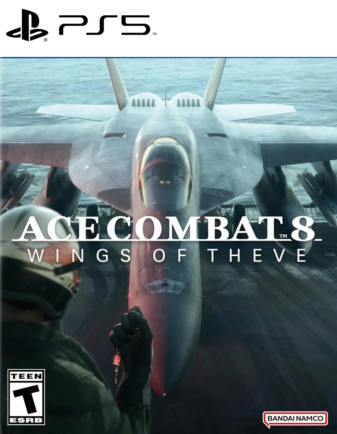 AceCombat8-PS5.jpg Ace Combat 8 Wings of Theve PS5